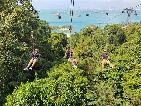 ziplining singapore|Mega Adventure.